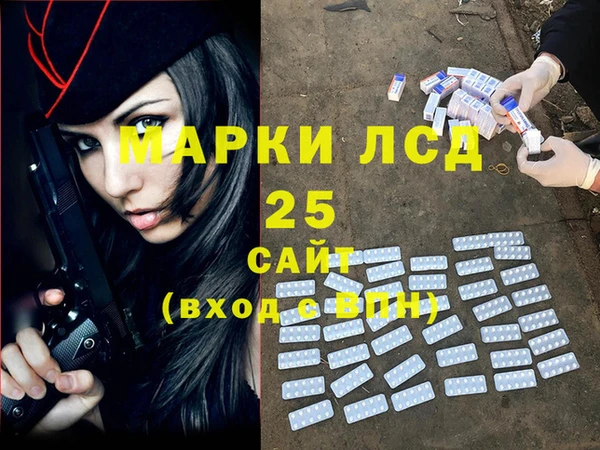 сатива Верея