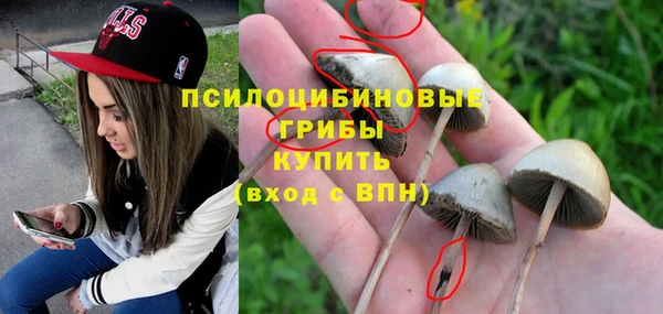 сатива Верея