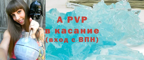сатива Верея