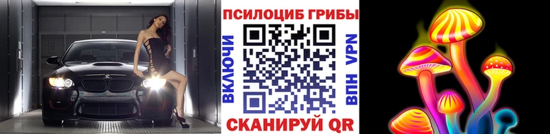 Купить  Сунжа  Галлюциногенные грибы мицелий 