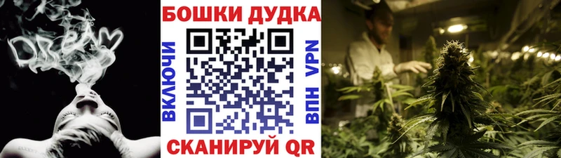 Купить закладки  Сунжа  Бошки марихуана ГИДРОПОН 